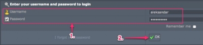 Login Form